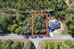 Tbd Guava Pass, Ocklawaha, FL 32179 - Photo 1