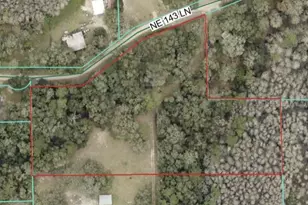 11800 NE 143rd Ln, Fort Mc Coy, FL 32134 - Photo 1