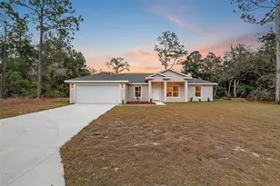 8833 N Spartan Dr, Citrus Springs, FL 34433 - Photo 1