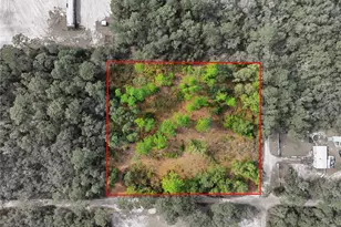 000 SW 151st St, Dunnellon, FL 34432 - Photo 1