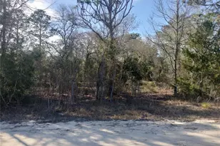 SE 137th Ct, Morriston, FL 32668 - Photo 1