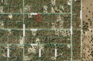 Tbd SW 78, Dunnellon, FL 34432 - Photo 1