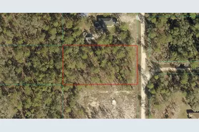 Tbd Lot 106 SW 134th Avenue, Dunnellon, FL 34432 - Photo 1