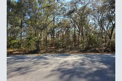 3686 W Parkview Drive, Dunnellon, FL 34433 - Photo 1