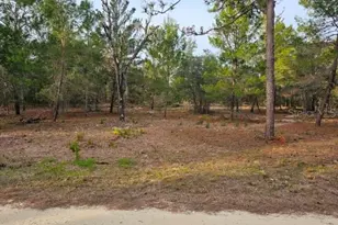 6341 W Stockholm Ln, Dunnellon, FL 34433 - Photo 1