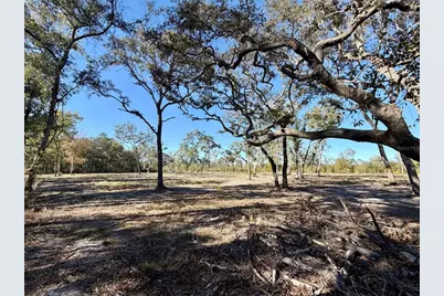 Tbd NE 220 Street, Fort Mc Coy, FL 32134 - Photo 1
