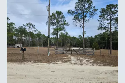 13391 NE 43rd Lane, Williston, FL 32696 - Photo 1