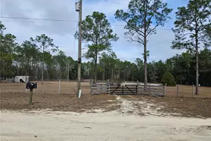 13391 NE 43rd Ln, Williston, FL 32696 - Photo 1