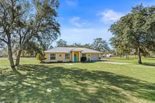 11330 E Levy St, Williston, FL 32696 - Photo 1