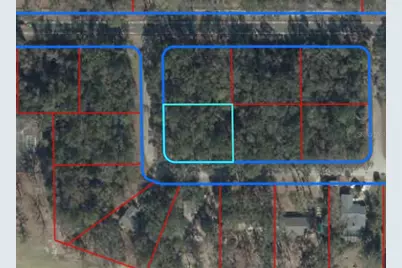 Tbd NW 115th Street, Chiefland, FL 32626 - Photo 1
