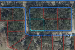 Tbd NW 115th St, Chiefland, FL 32626 - Photo 1