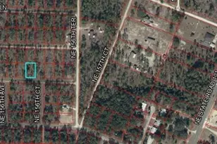 NE 15th Ln Lot, Williston, FL 32696 - Photo 1