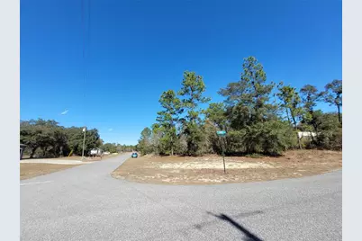 3153 W Eunice Drive, Dunnellon, FL 34433 - Photo 1