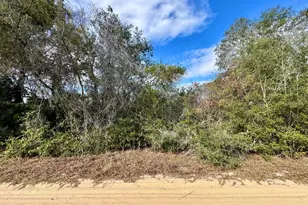 NE 235th St, Fort Mc Coy, FL 32134 - Photo 1