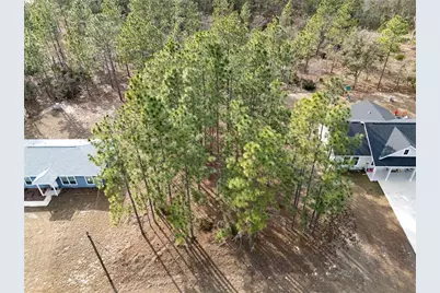 Tbd NE 150th Avenue, Williston, FL 32696 - Photo 1