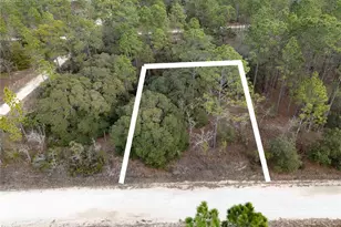 Tbd NE 150th Ave, Williston, FL 32696 - Photo 1