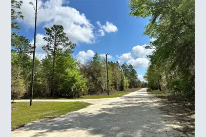 10350 NE 74th Place, Bronson, FL 32621 - Photo 1