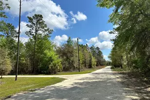 10350 NE 74 Pl, Bronson, FL 32621 - Photo 1