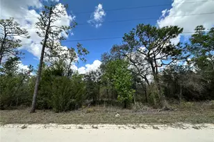 Tbd NE 63rd Pl, Williston, FL 32696 - Photo 1