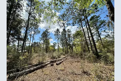[Address not provided], Bronson, FL 32621 - Photo 1