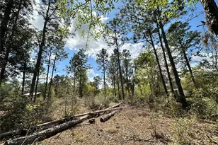 [Address not provided], Bronson, FL 32621 - Photo 1