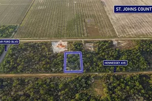 10335 Hennessey Ave, Hastings, FL 32145 - Photo 1