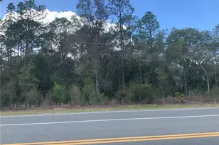 Tba Hwy 41, Dunnellon, FL 34432 - Photo 1