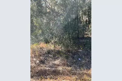 Tbd Locust Pass Loop, Ocala, FL 34472 - Photo 1