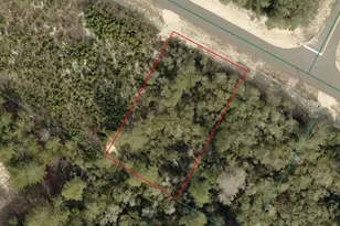 Tbd SW 29th Ct Rd, Ocala, FL 34473 - Photo 1