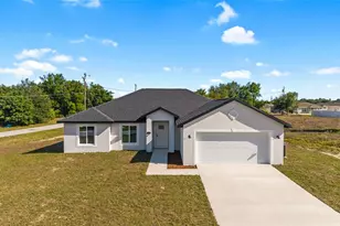 3 Walnut Run, Ocala, FL 34480 - Photo 1