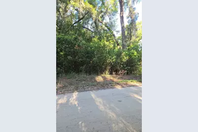 Se 28th Ct., Summerfield, FL 34491 - Photo 1