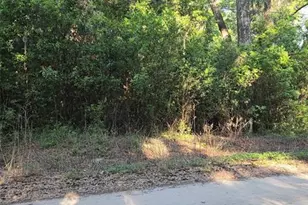 SE 28th Ct, Summerfield, FL 34491 - Photo 1