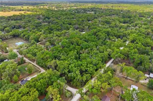 17792 SE 30th Ave, Summerfield, FL 34491 - Photo 1