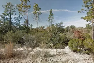 NE 100th Ave, Bronson, FL 32621 - Photo 1