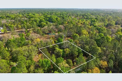 12701 SW 96th Lane, Dunnellon, FL 34432 - Photo 1