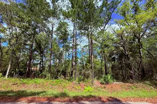 Lot 15 Bay Ct, Ocklawaha, FL 32179 - Photo 1