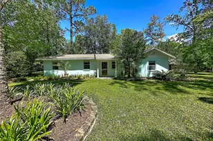 10371 E Hwy 316, Fort Mc Coy, FL 32134 - Photo 1