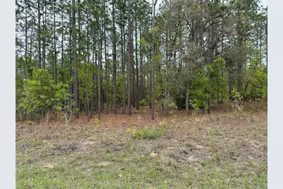 Sw 125th Court Rd, Dunnellon, FL 34432 - Photo 1