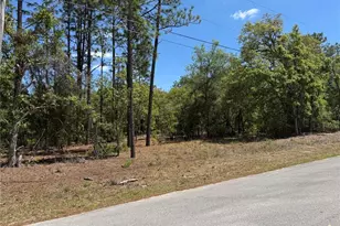 Lot 2 SW 206 Ave, Dunnellon, FL 34431 - Photo 1