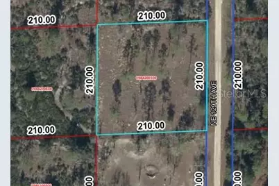 00 NE 129th Avenue, Williston, FL 32696 - Photo 1
