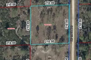 00 NE 129th Ave, Williston, FL 32696 - Photo 1