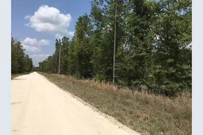 7231 NE 136th Avenue, Williston, FL 32696 - Photo 1