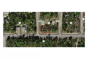 6443 N Dunlap Terrace, Citrus Springs, FL 34433 - Photo 1