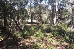 6887 W Dumaine Ln, Dunnellon, FL 34433 - Photo 1