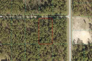 Tbd Lot 8 SW 75th St, Dunnellon, FL 34432 - Photo 1