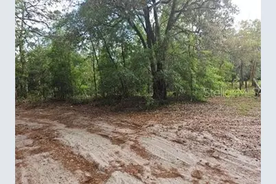 0 SW 90, Dunnellon, FL 34432 - Photo 1