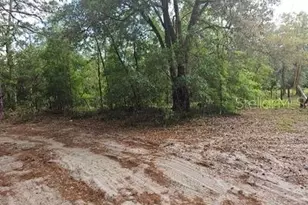 0 SW 90, Dunnellon, FL 34432 - Photo 1