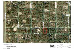 SW 89 St, Dunnellon, FL 34432 - Photo 1