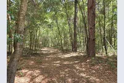 11953 N Glenview Avenue, Dunnellon, FL 34434 - Photo 1