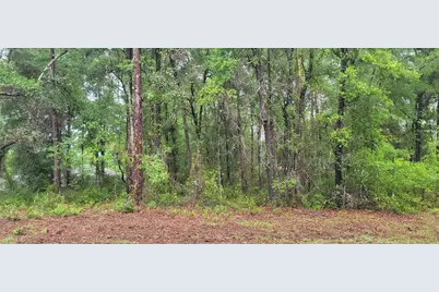 9781 N Loretta Way, Citrus Springs, FL 34434 - Photo 1